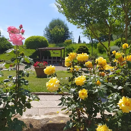 Casa Elisa * Montaione